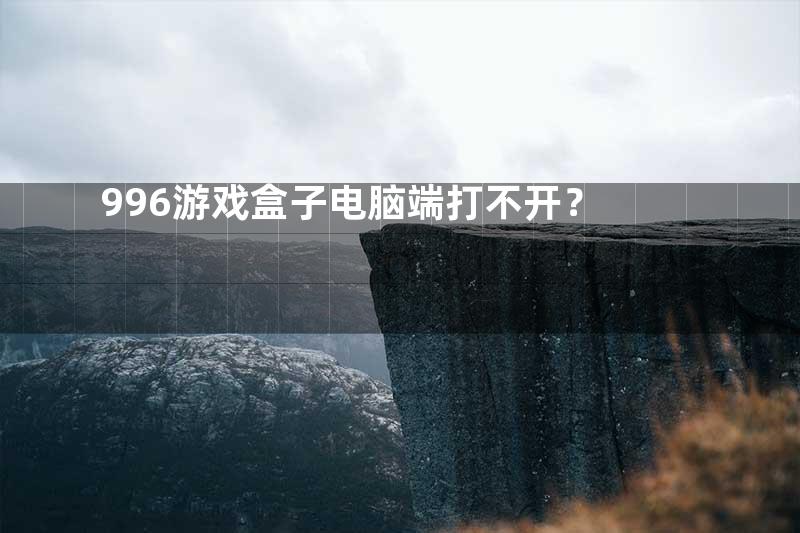 996游戏盒子电脑端打不开？