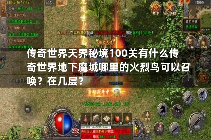 传奇世界天界秘境100关有什么传奇世界地下魔域哪里的火烈鸟可以召唤？在几层？