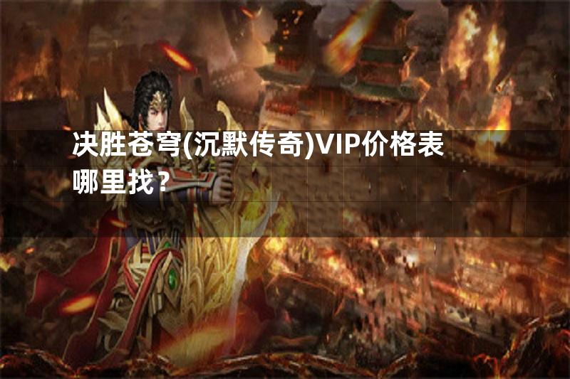 决胜苍穹(沉默传奇)VIP价格表哪里找？