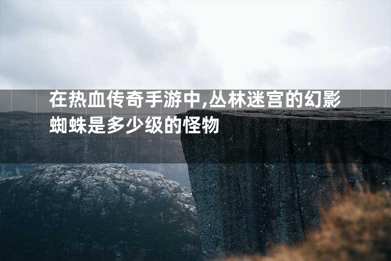 在热血传奇手游中,丛林迷宫的幻影蜘蛛是多少级的怪物