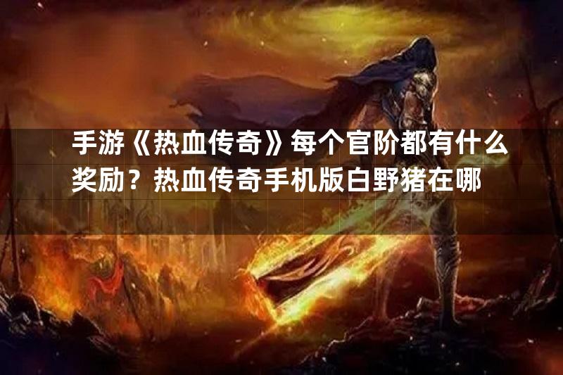 手游《热血传奇》每个官阶都有什么奖励？热血传奇手机版白野猪在哪