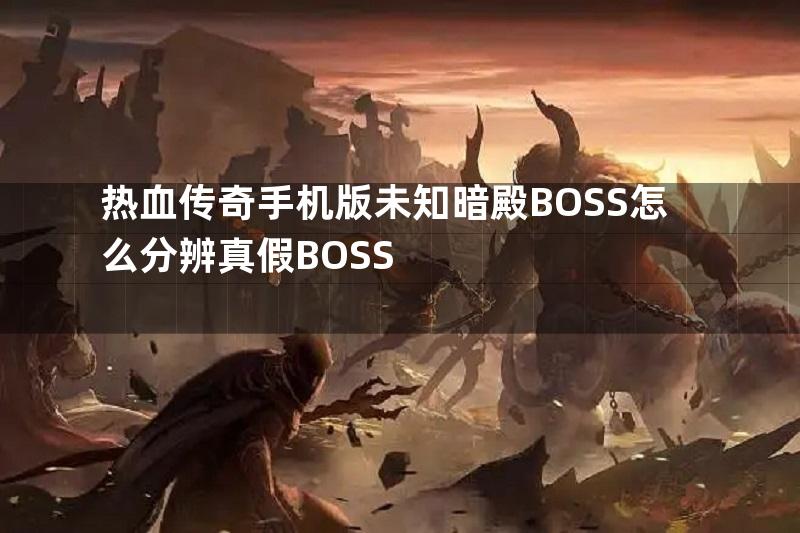 热血传奇手机版未知暗殿BOSS怎么分辨真假BOSS